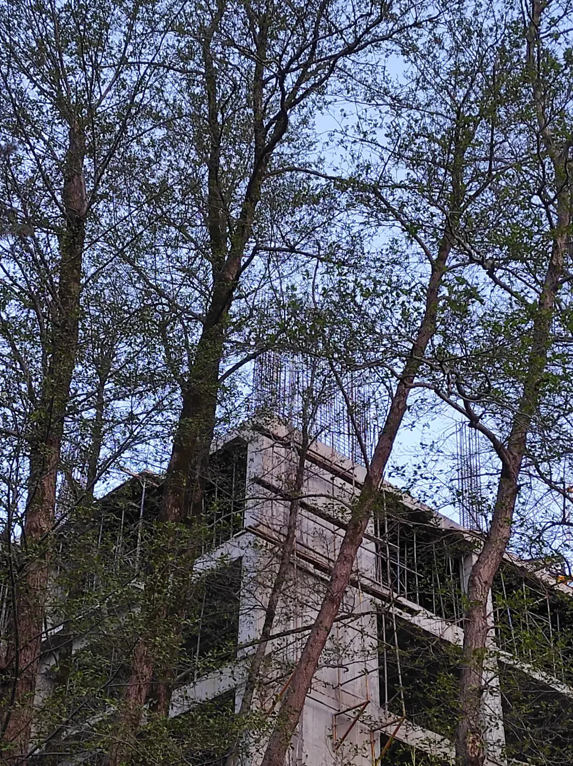 اجاره زمین ۲۵۰ متری (دیوار و درب)