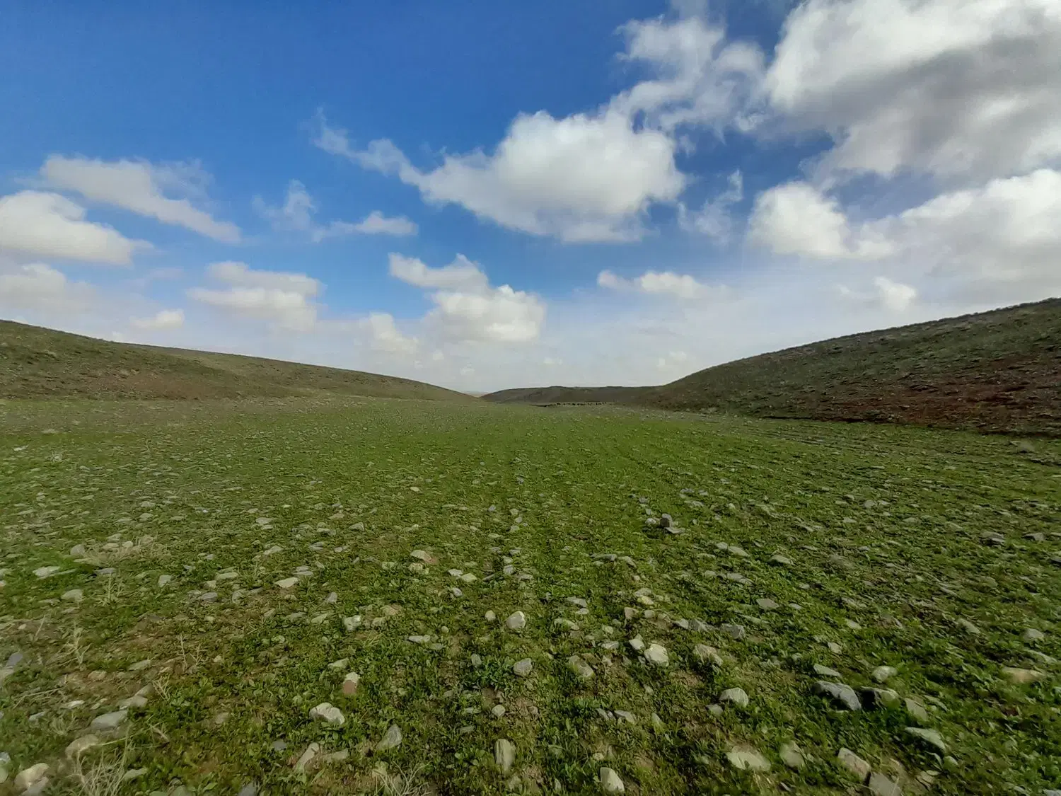 زمین کشاورزی با آب چاه موتور