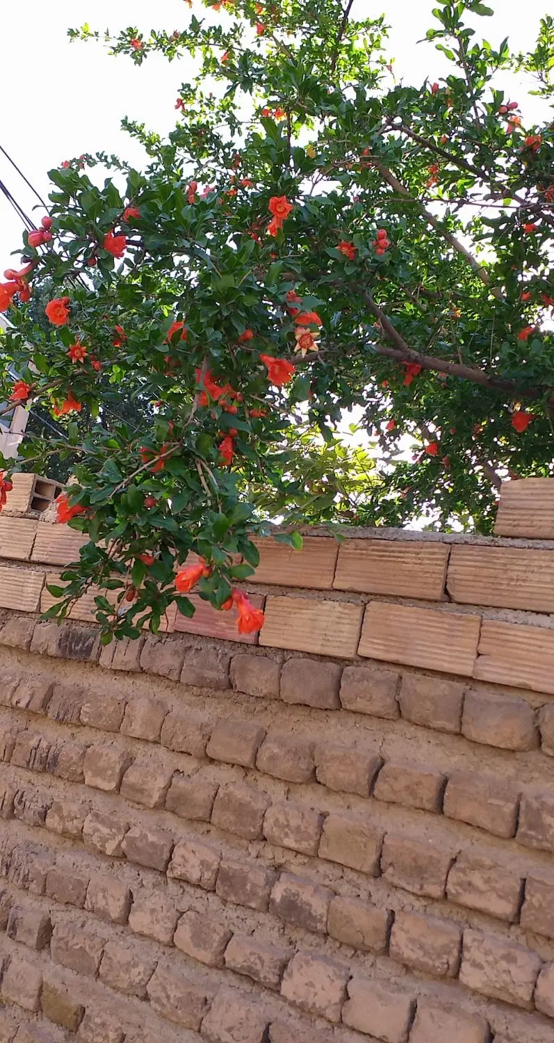 170متر ویلایی ارزنده