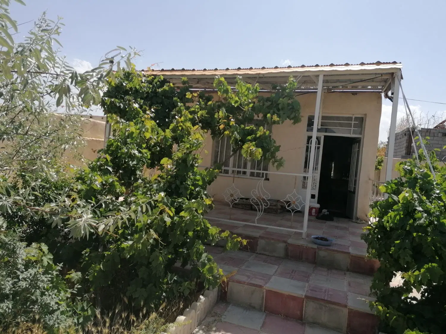 باغ 1000 متری کاهو مجتمع چمن آرا