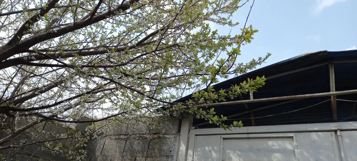اجاره خونه