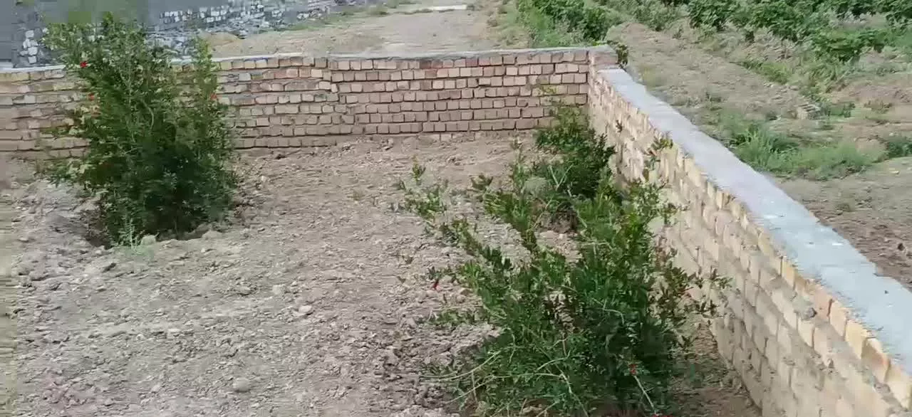 باغچه زیبا و دنج