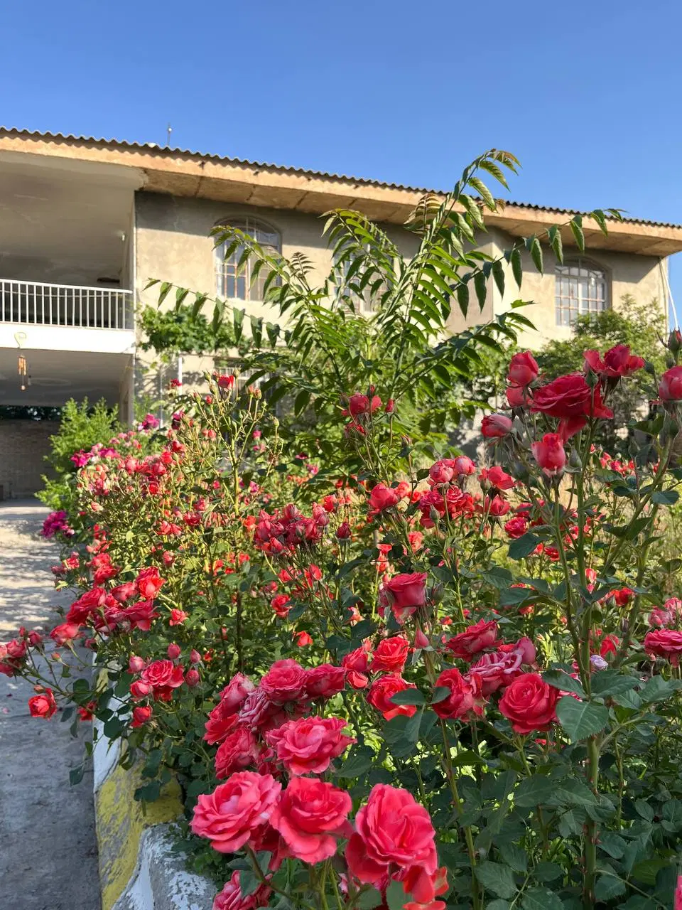 باغ ویلا دوبلکس