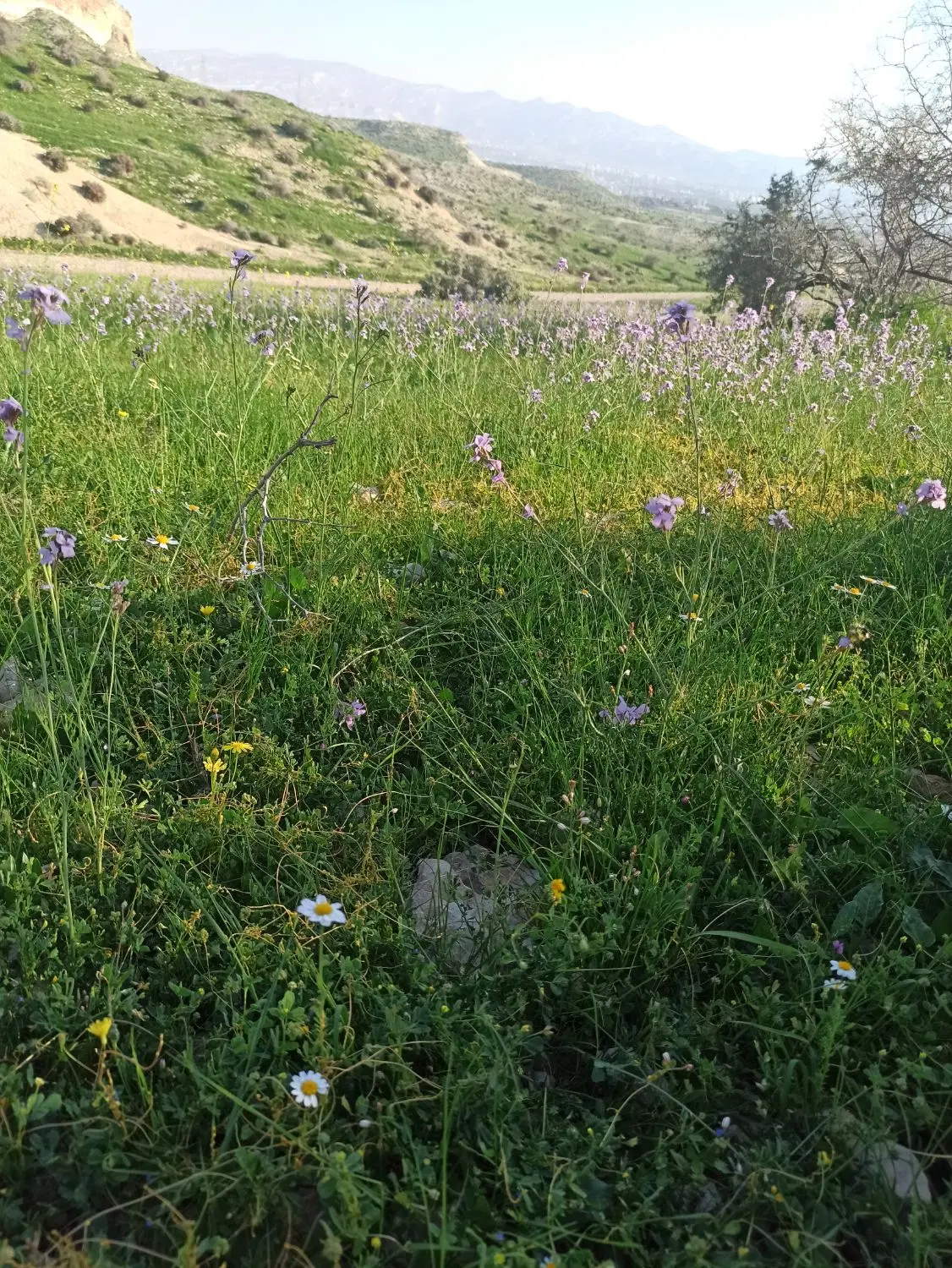 فروش زمین آبگرمک