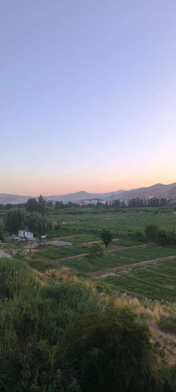 فروش 3 عدد فیش نهضت میلی
