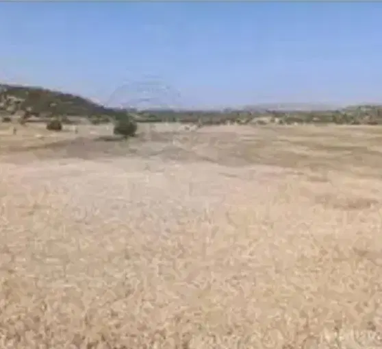 زمین فروشی