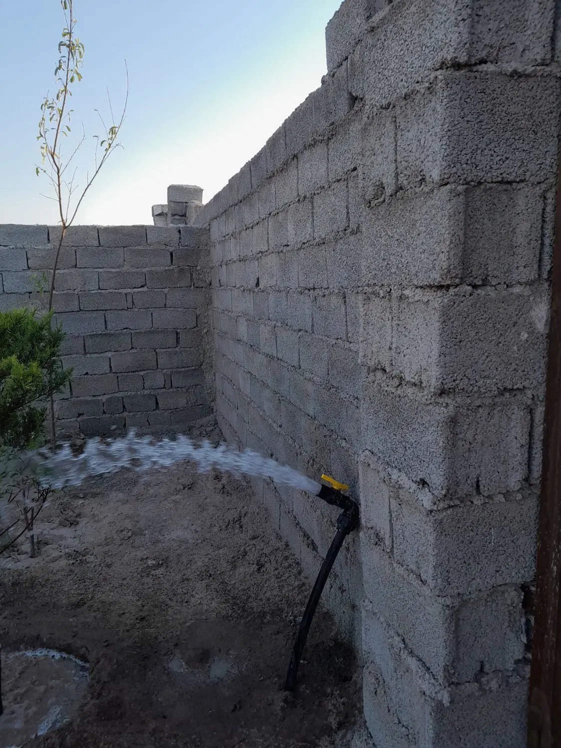 باغچه چسب بافت سنددار