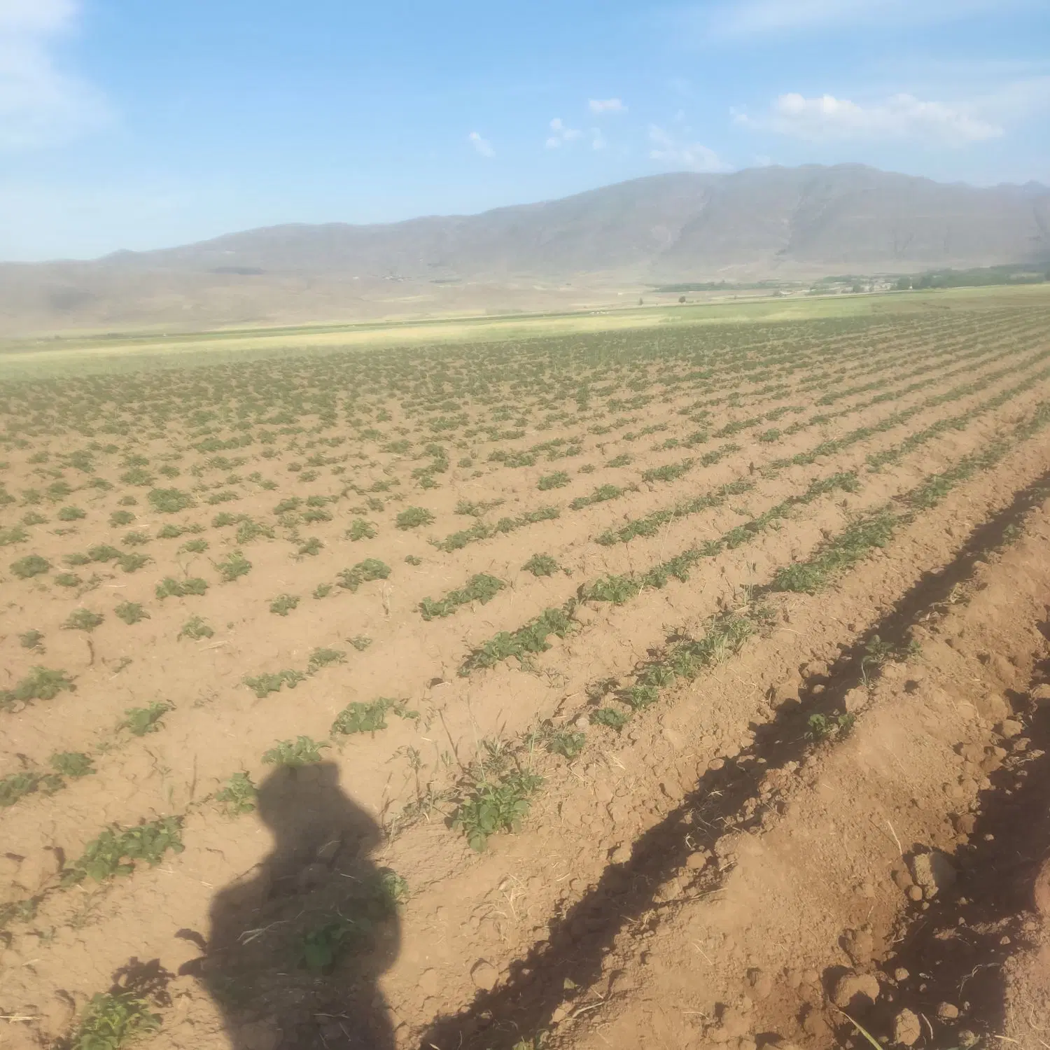 زمین فروشی ی هگتار مخصوص باغ و یلا و کارای صنعتی