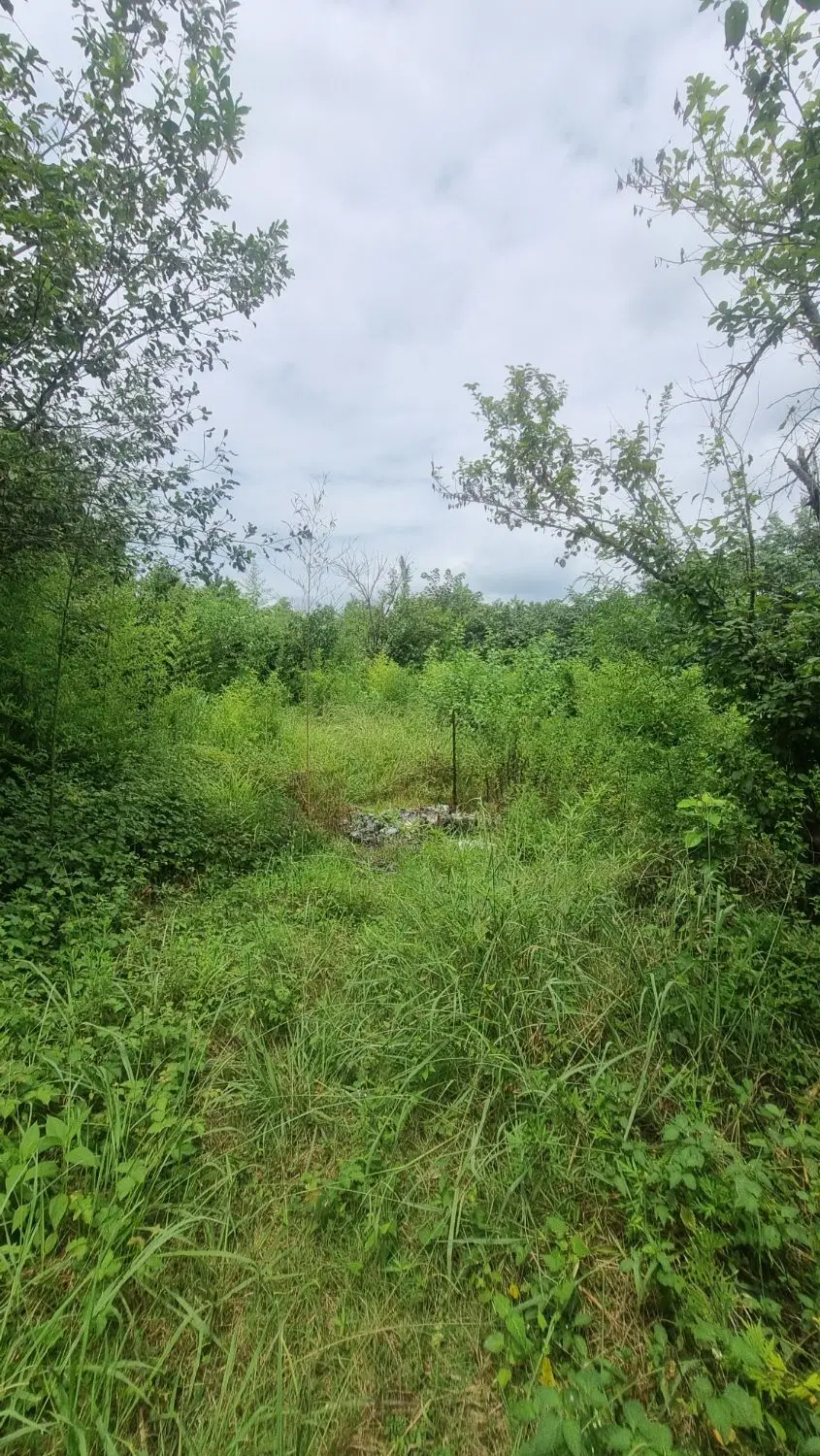 ۸۶۰متر زمین مسکونی با خانه کلنگی