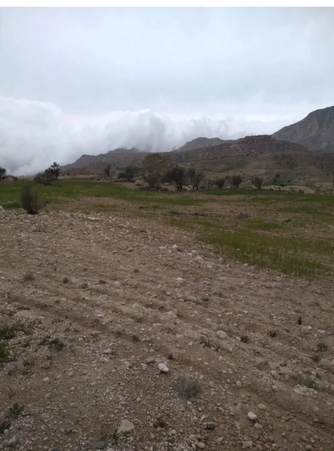 بهترین فرصت برای سرمایه‌گذاری زمین شهرک آزادی