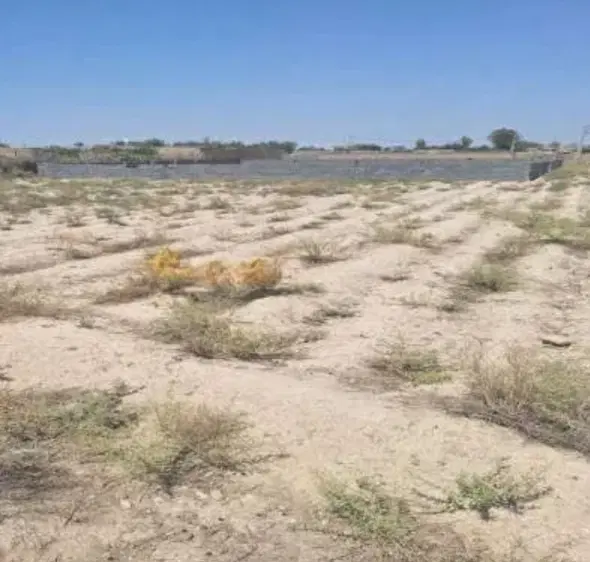 زمین باغی روستای فخر اباد