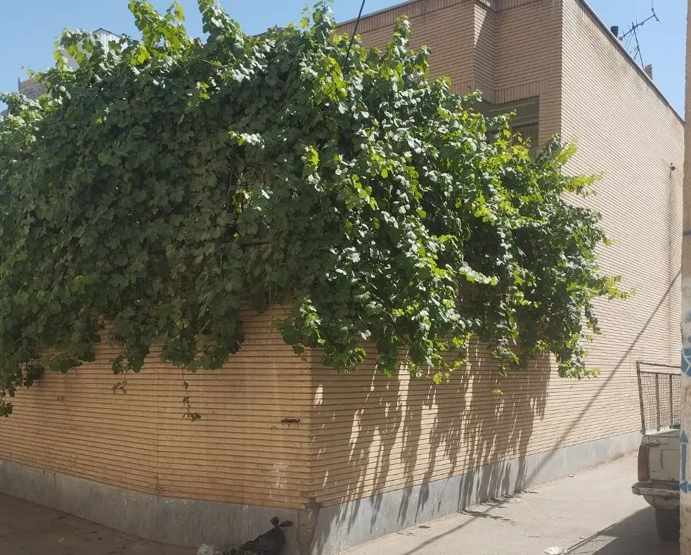 منزل ویلایی