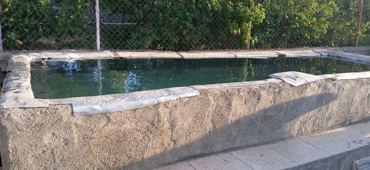 باغ میوه