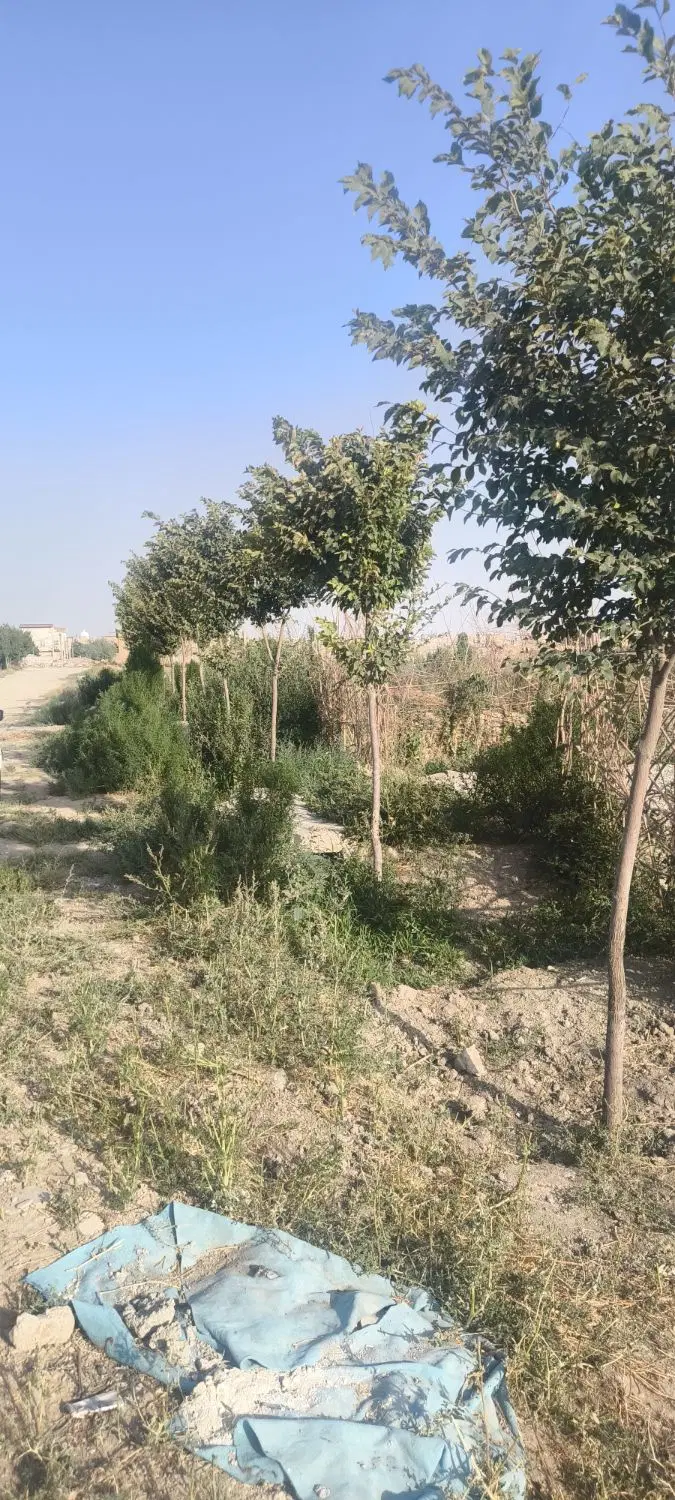 زمین مناسبت کارگاه و باغچه