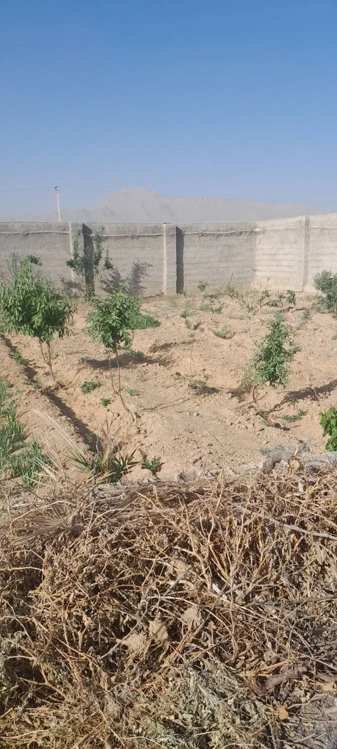فروش باغ