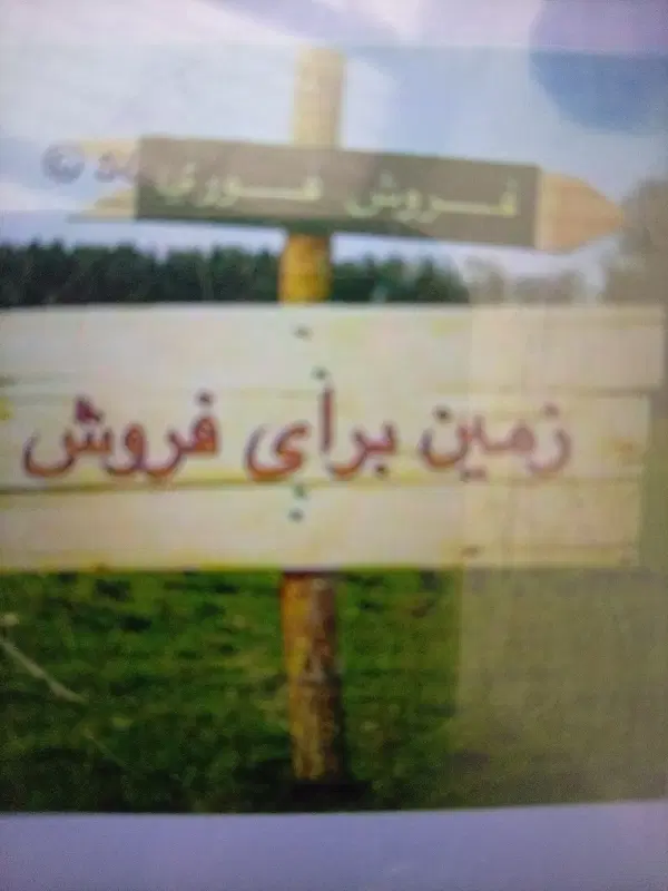 زمین بلوار توس توس 109