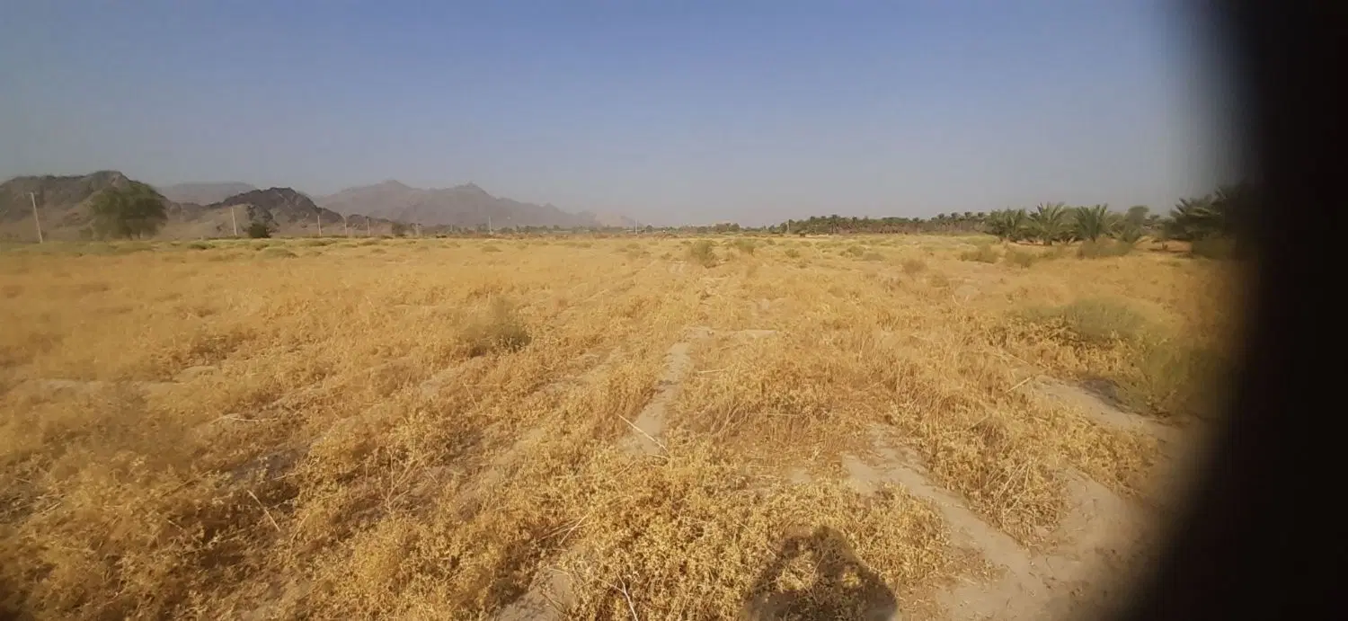زمین کشاورزی