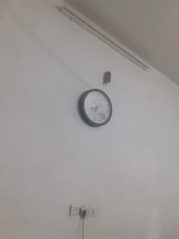 همخونه خانم
