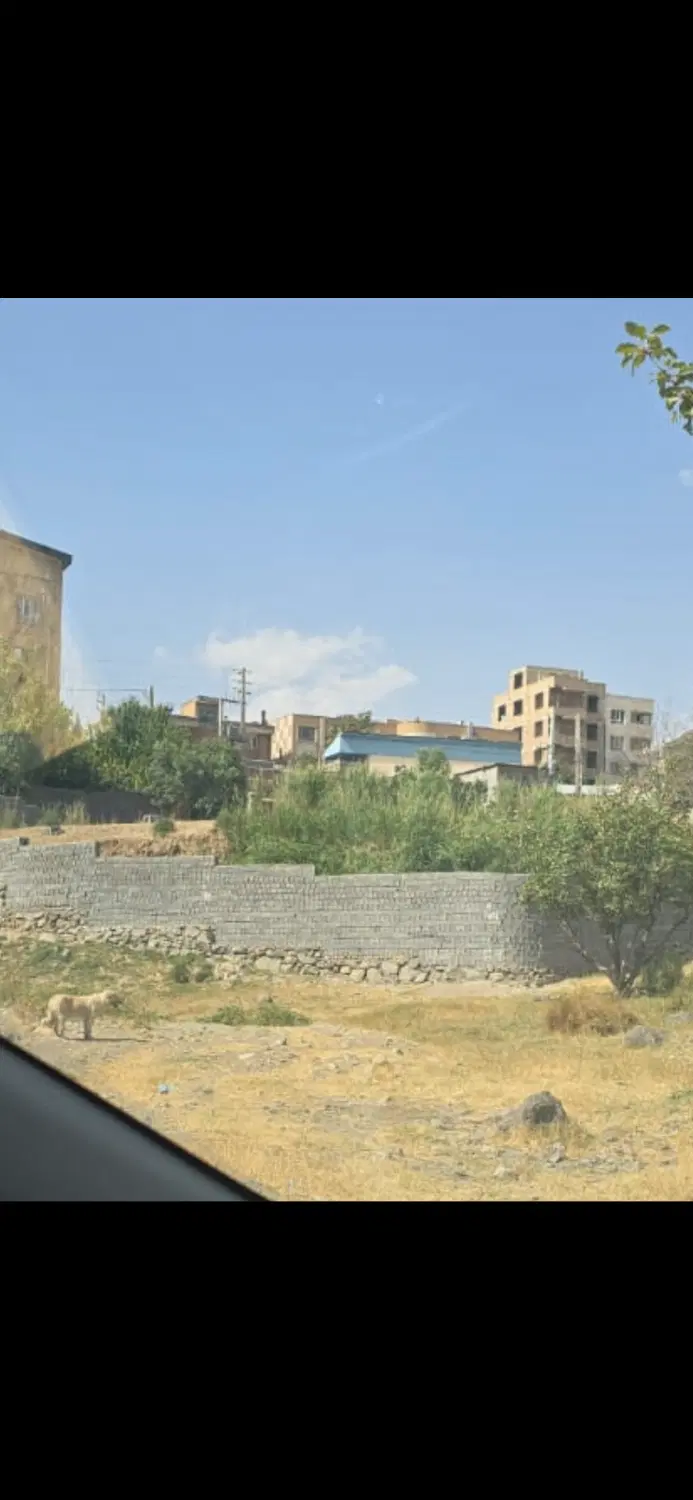 زمین