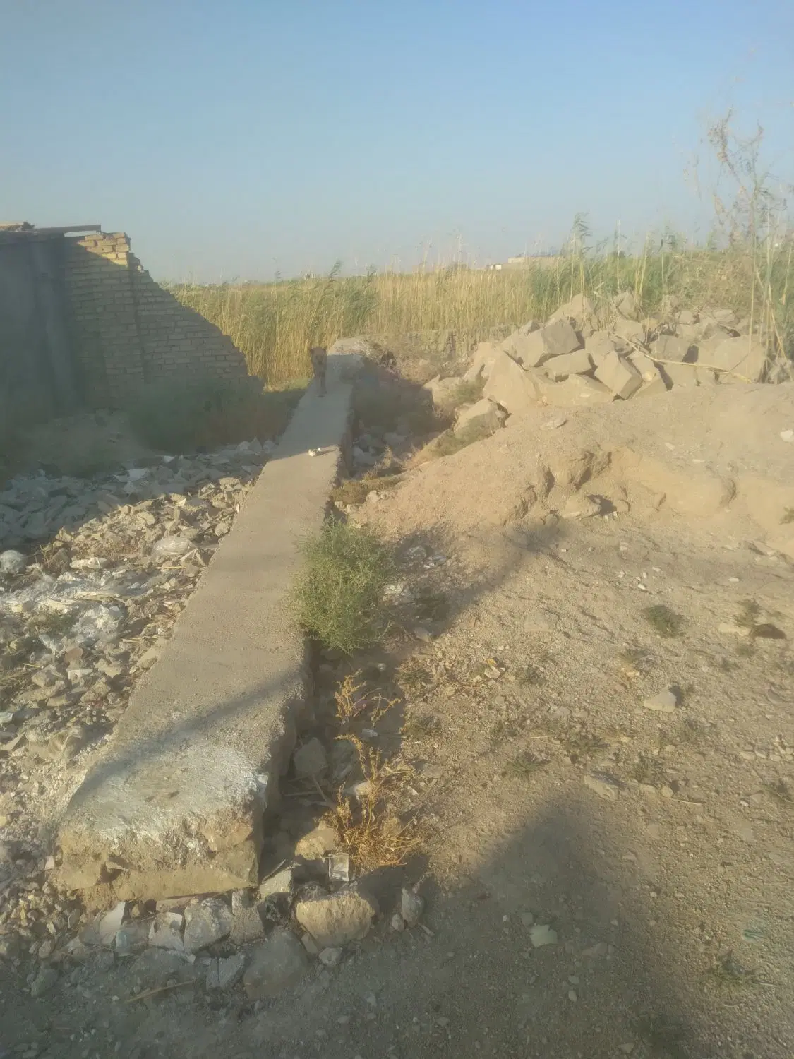 زمین نزدیک جاده معاوضه هم دارم