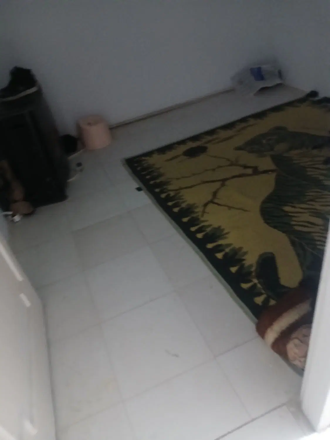سلام یه خونه دارم همخونه میخام