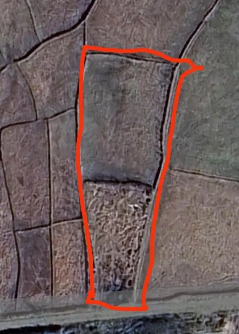 شالیزار بر جاده