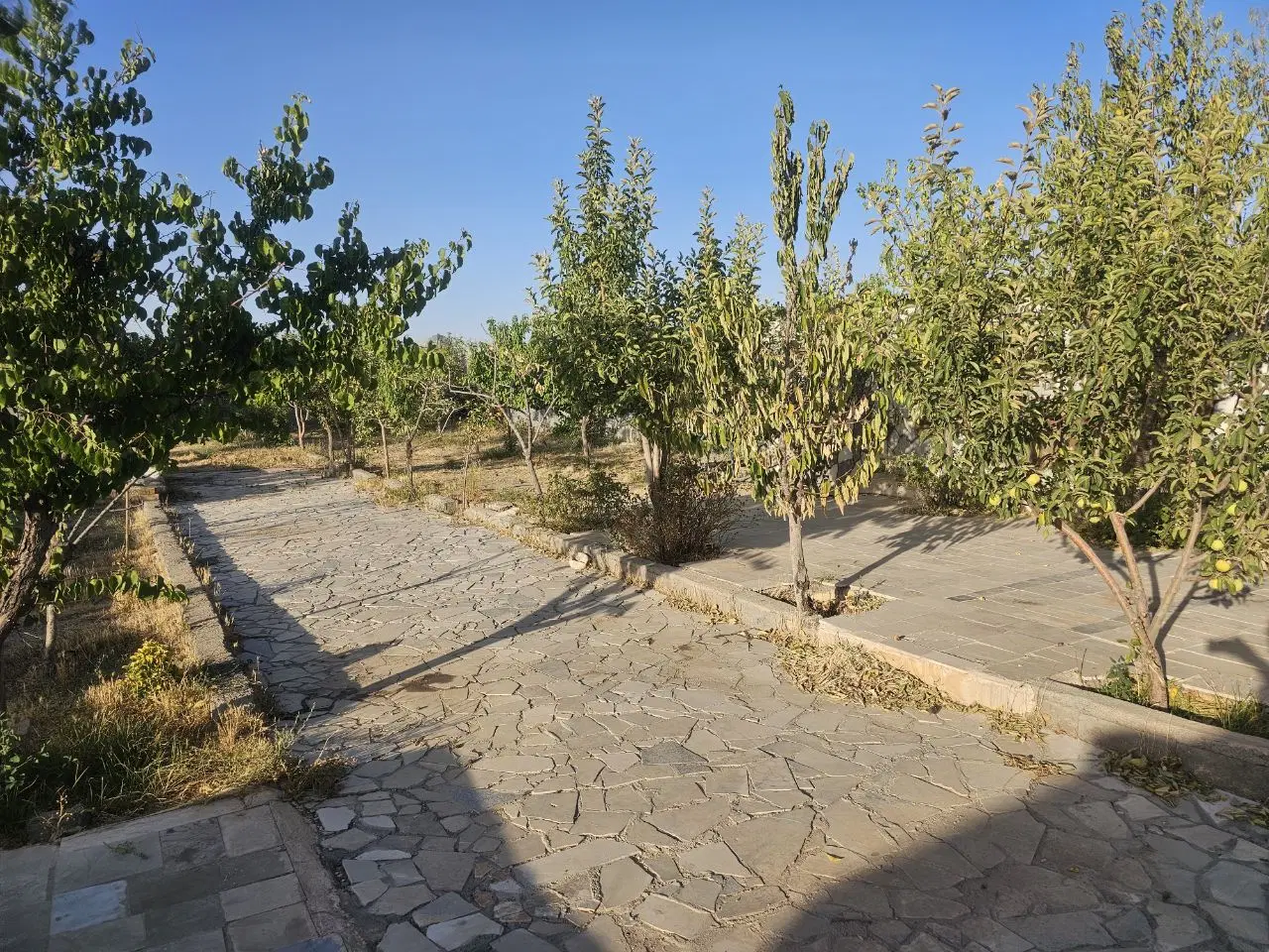 باغ شاهنامه