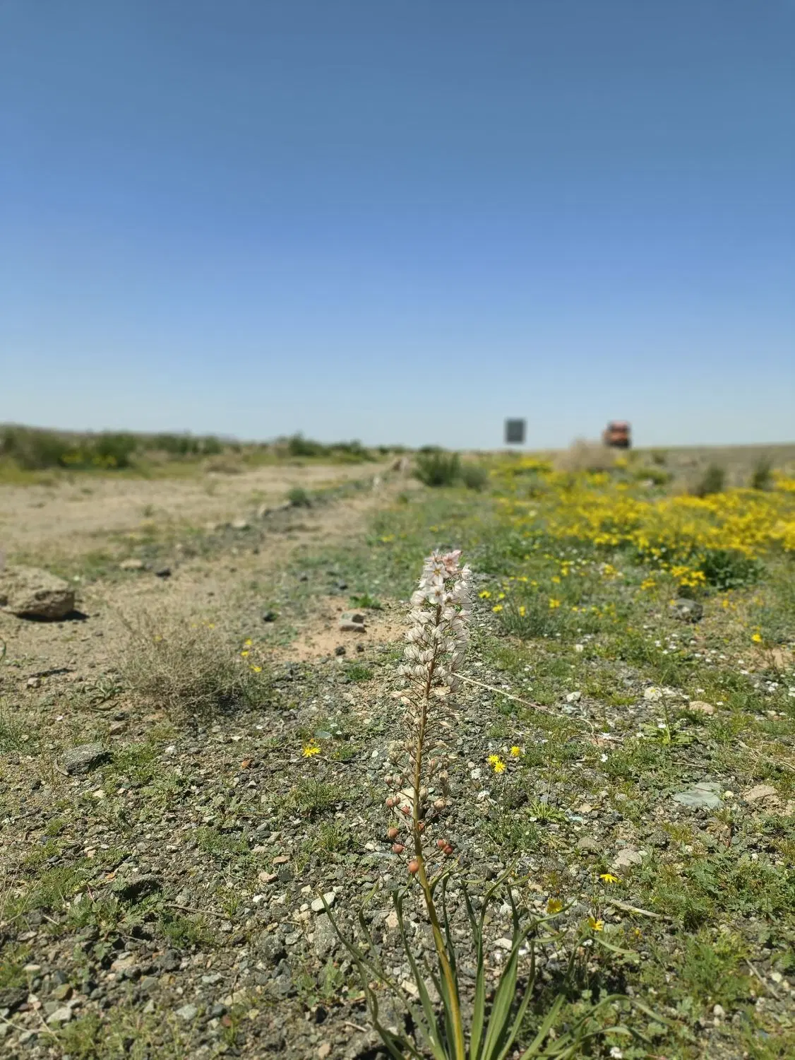 زمین در محله سرخون