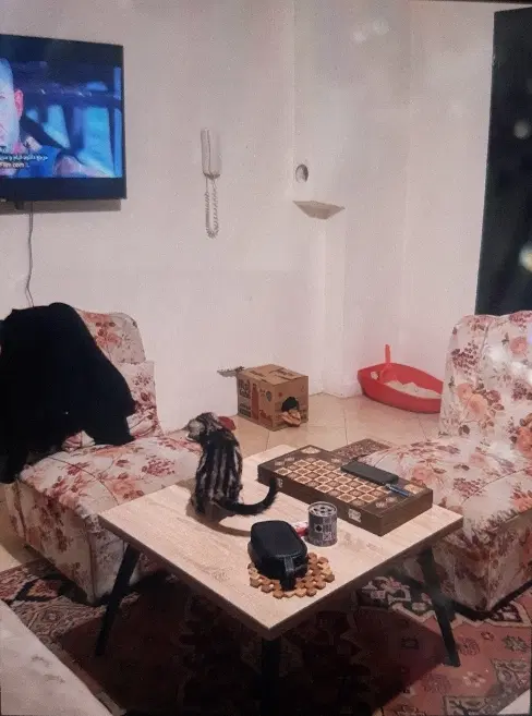 هم خانه