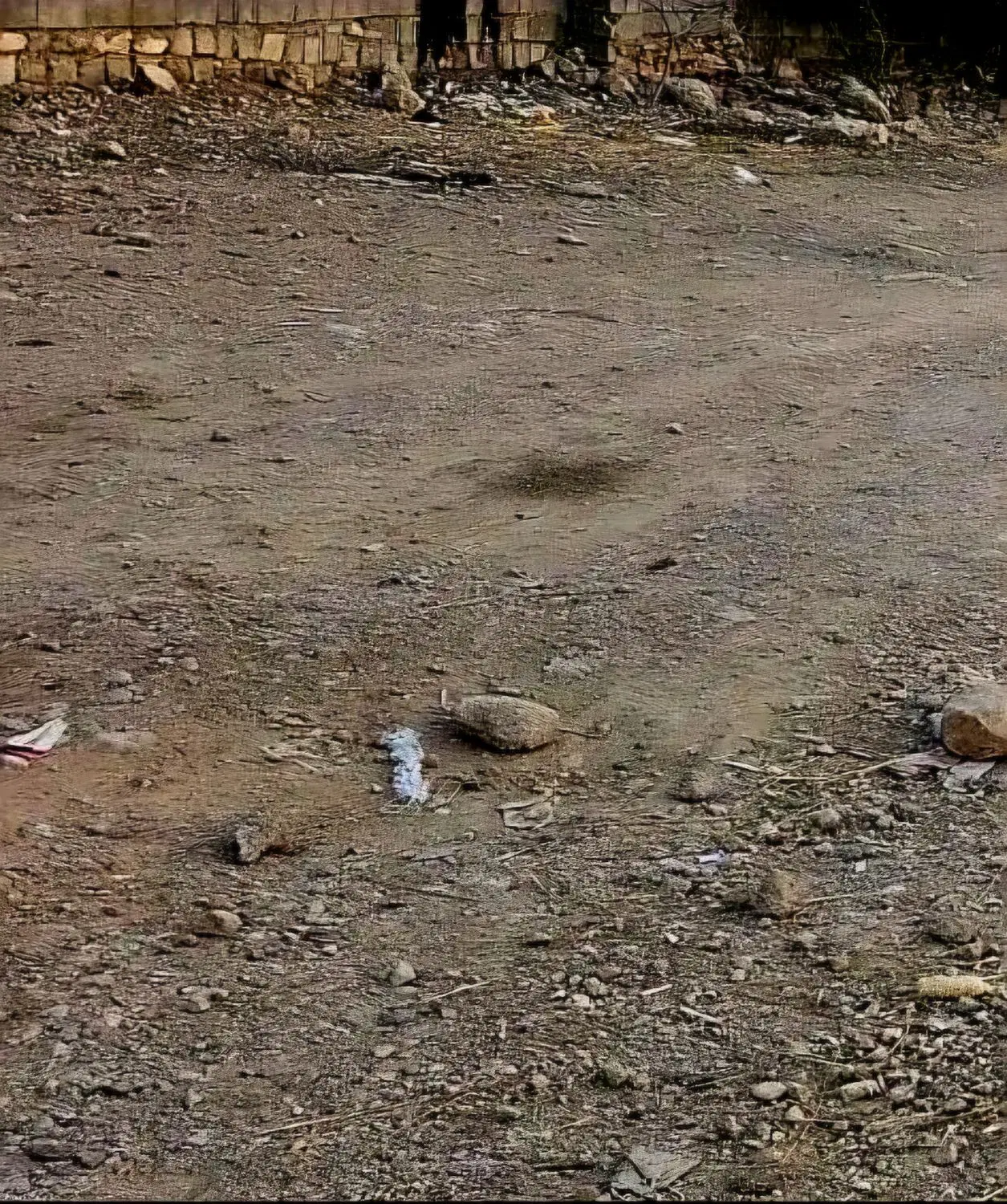 زمین مادوان سفلی خیابان بشار