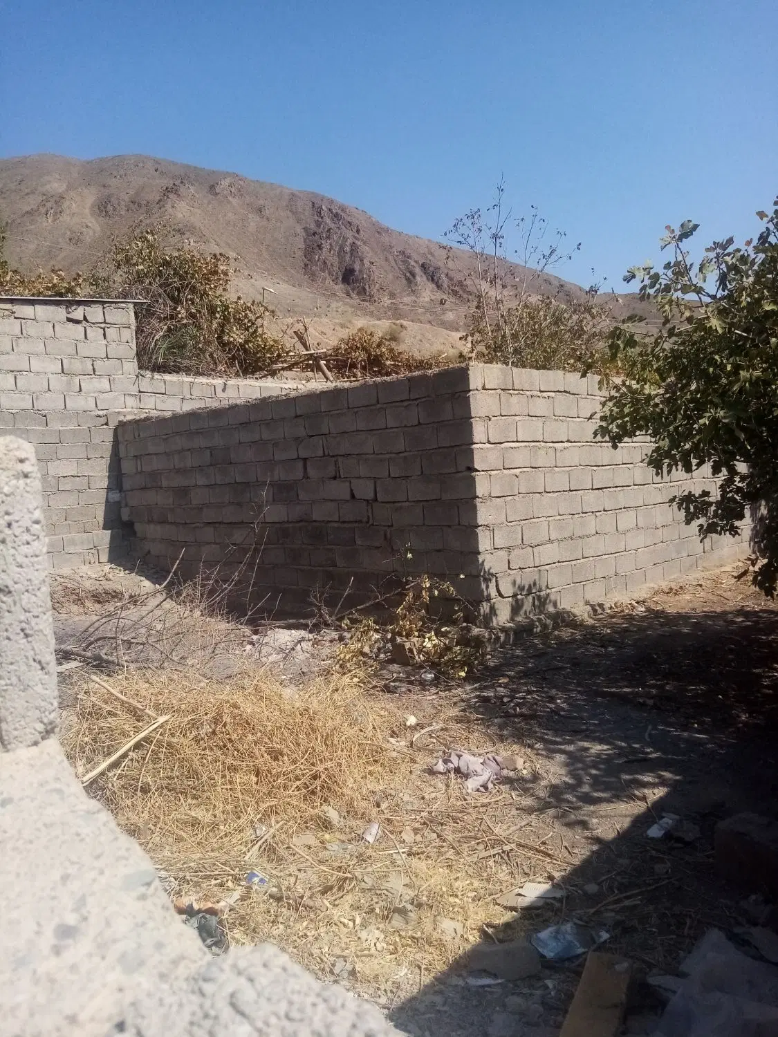 زمین