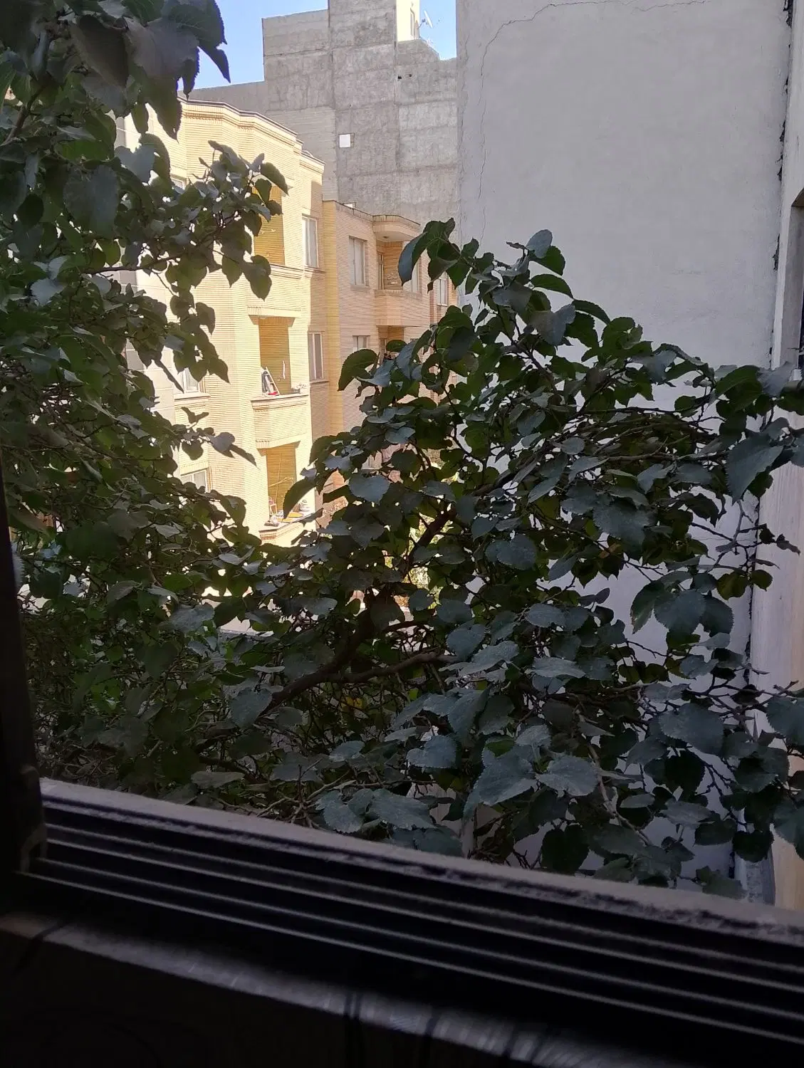 آپارتمان امامت یک قطعه بعد از سرنبش