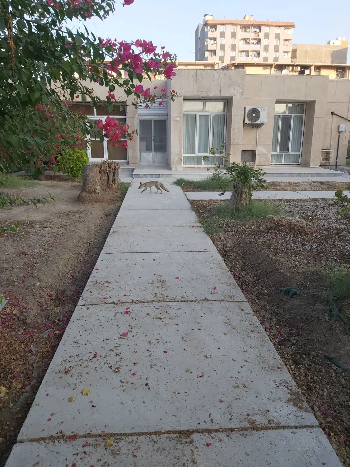 خانه در خیابان اردیبهشت