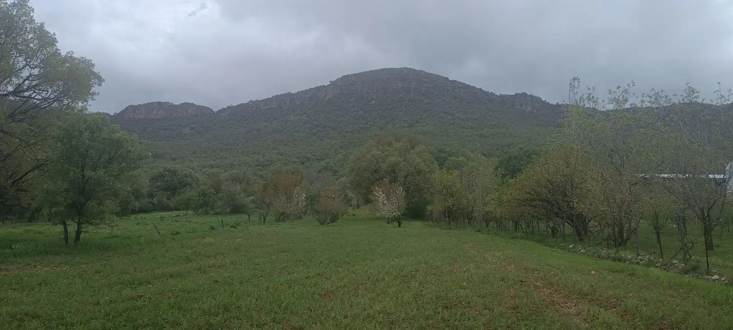 رهن و اجاره ی باغ در روستای یوسف آباد مختار