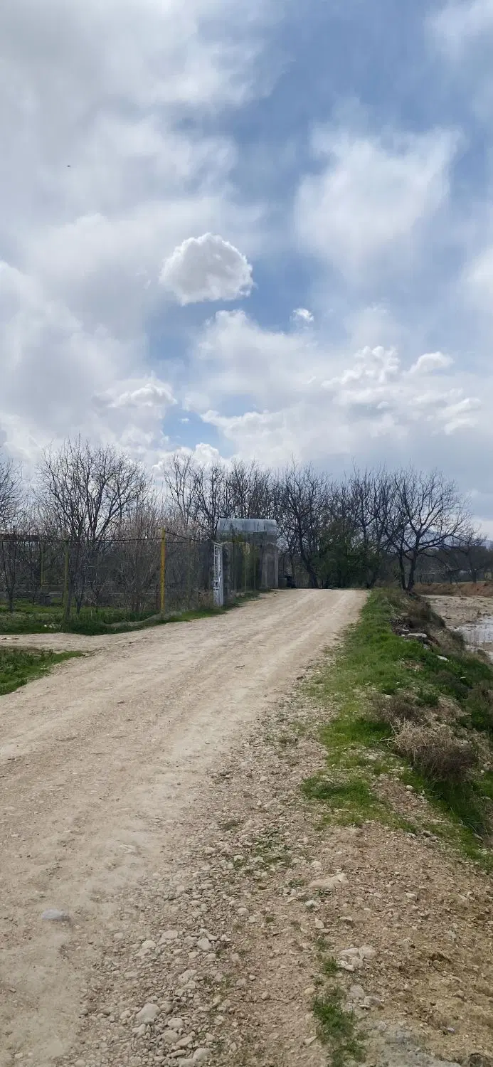 زمین  کشاورزی