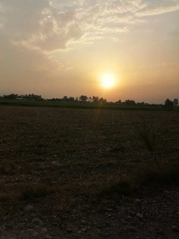 زمین 116 و نیم متری