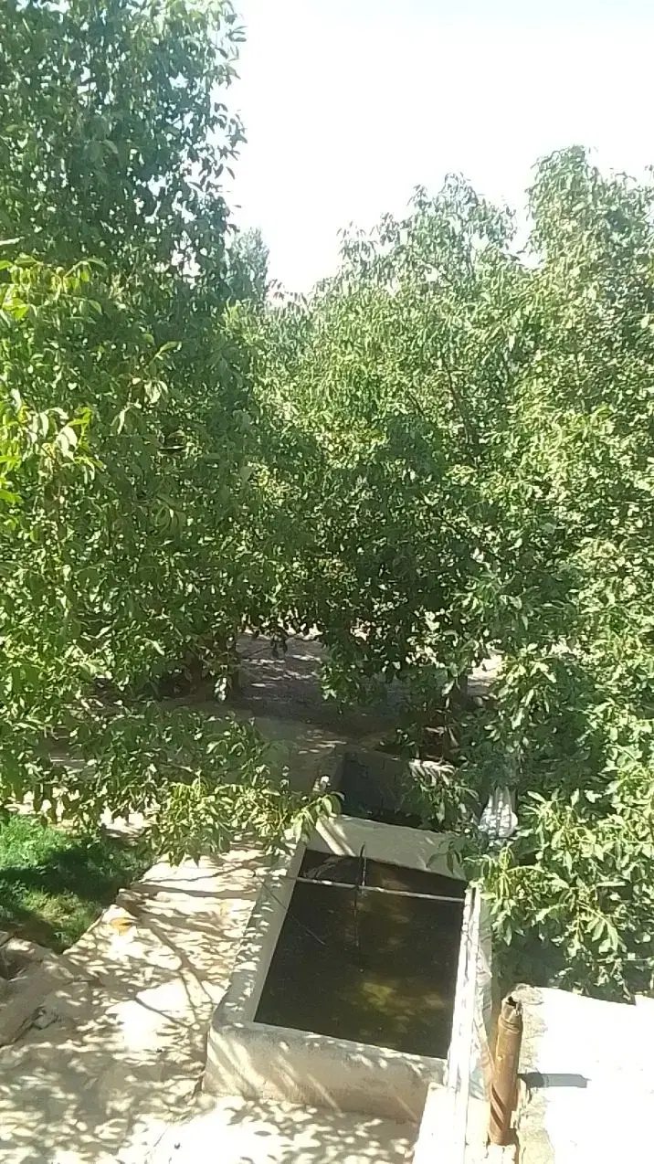 اجاره کوتاه مدت