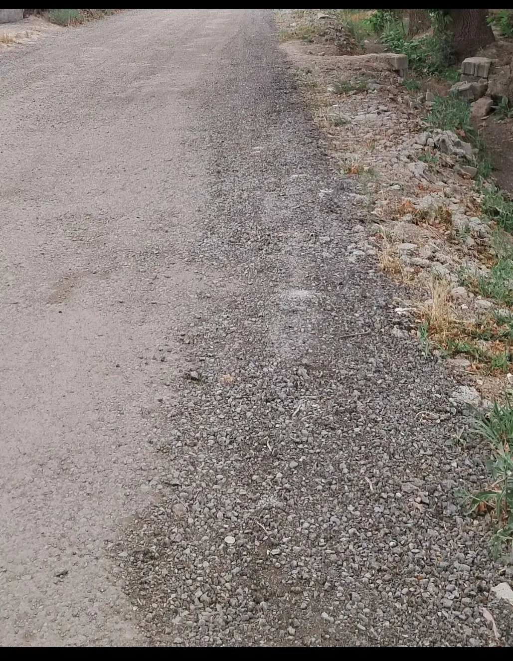 زمین مسکونی