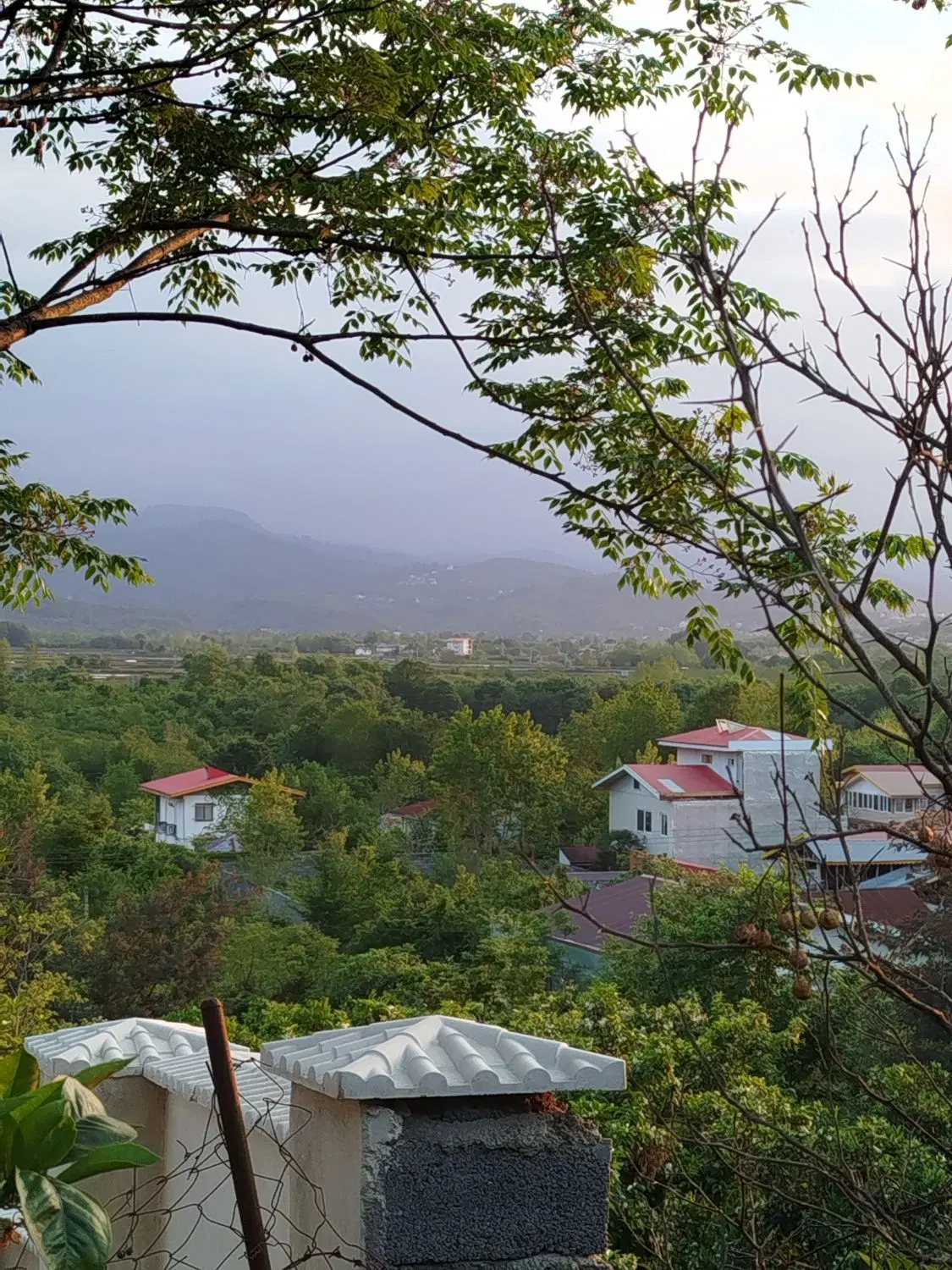 زمین مسکونی