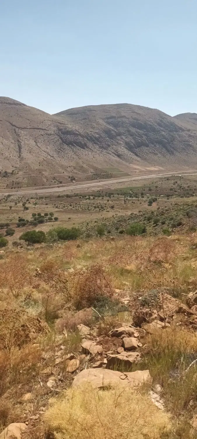 زمین فاز یک صدرا ۲۷۰ متر