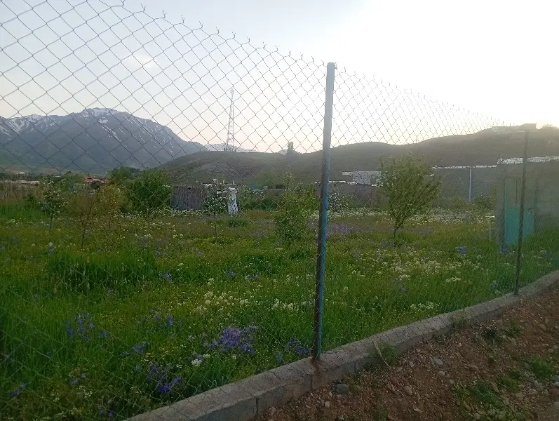باغ ویلایی