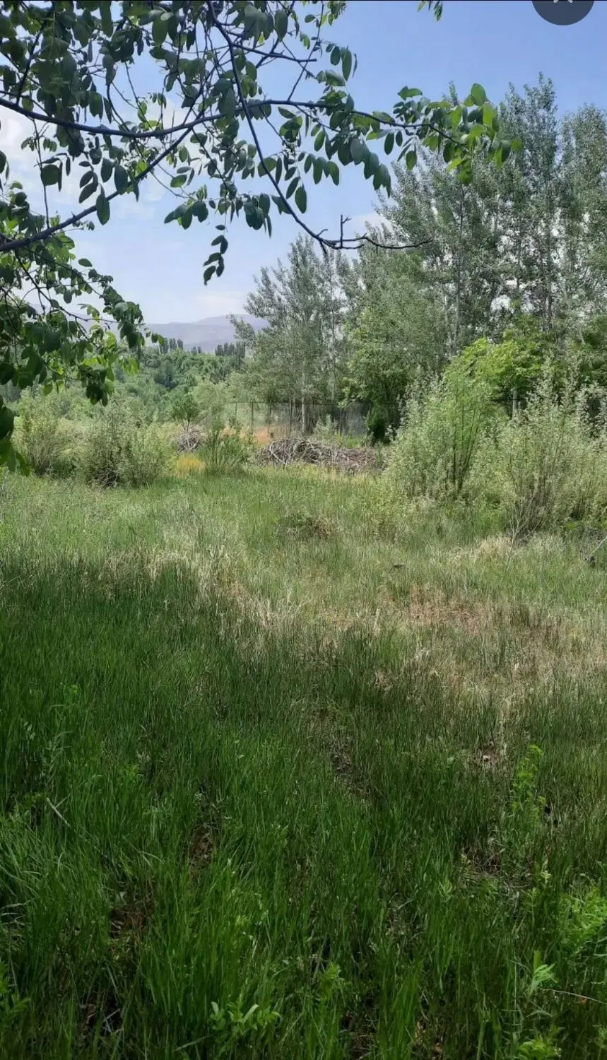 فروش باغ نوبران