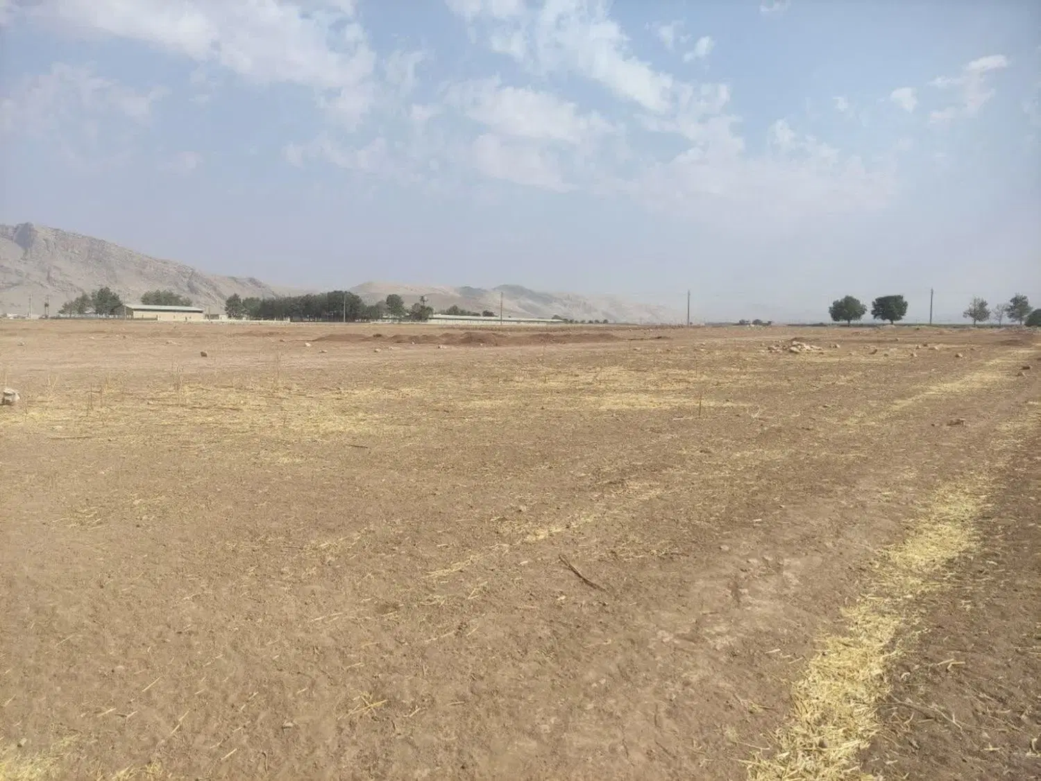 زمین
