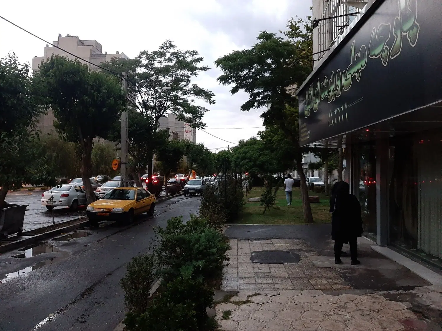 ۳۵مترتجاری‌بردرختی