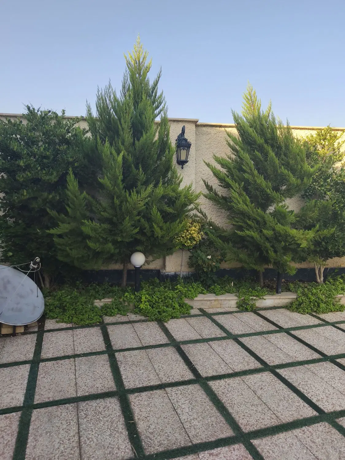 باغچه ویلا ۱۰۰۰ متری جم پدم خدایارخان قیمت کاسبی