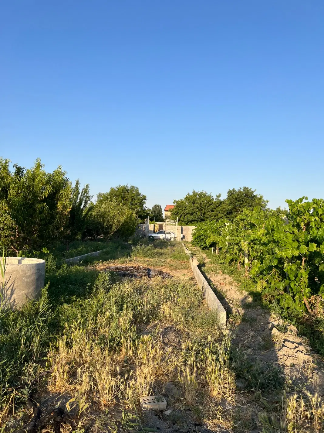 باغ ‌وباغچه الوان متراژ ۱۲۰۰ متر در تبت