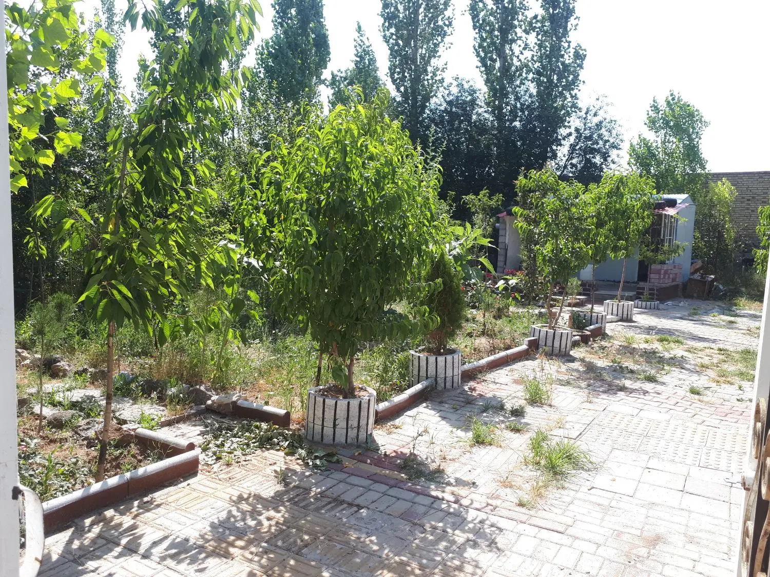 باغ ویلایی نزدیک شهراردبیل