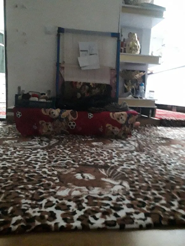 خانه غباسی پارک چشم انداز اصلانی وحدت