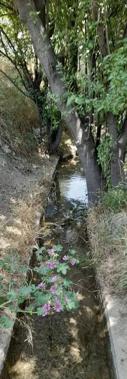 ۱۵۰۰ متر باغ بی‌نظیر در  لواسان کوچک هنزک