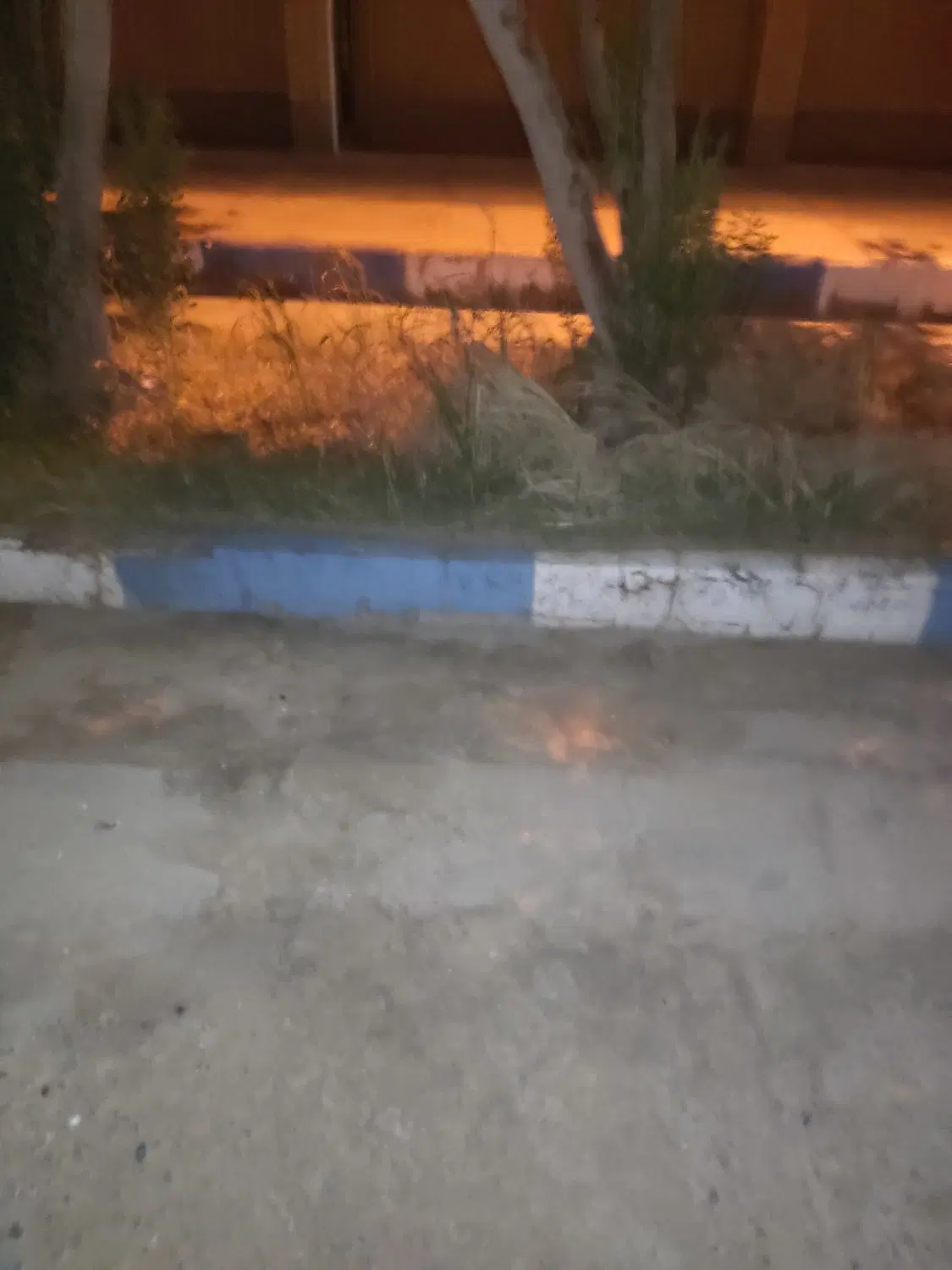 زمین امام خمینی جنوبی